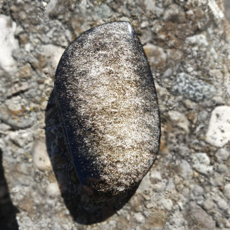 Cabochon en forme de flamme, rainuré en obsidienne argentée du Mexique