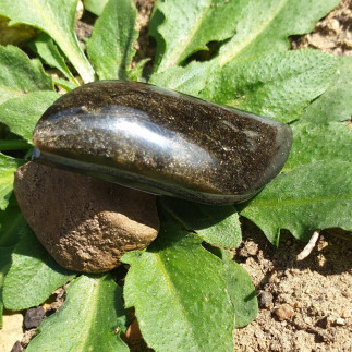 Cabochon flamme, en obsidienne dorée du Mexique.