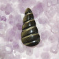 Cabochon doré