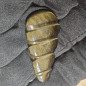 Cabochon en obsidienne dorée